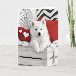 Valentinkarte für Samoyed Hunde Dankeskarte
