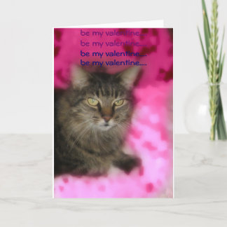 Valentinkatze Feiertagskarte