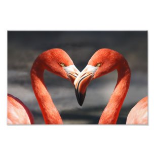 Valentins-Flamingo Fotodruck