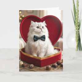 Valentins-Perserkatze in Schachtel mit Süßigkeiten Karte