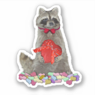 Valentinsbärchen-Bandit Aufkleber