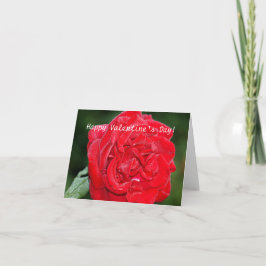 Valentinskarte mit Rote Rose Feiertagskarte