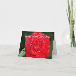 Valentinskarte mit Rote Rose Feiertagskarte