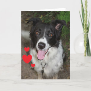 Valentinskarte vom Hund Feiertagskarte