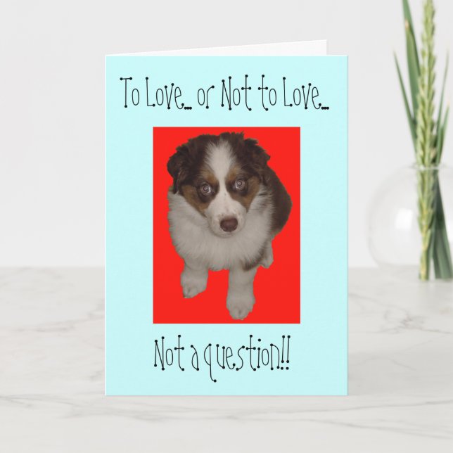 Valentinstag Australischer Schäferhund Feiertagskarte (Vorderseite)