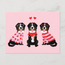 Valentinstag Bernese Mountain Hunde
