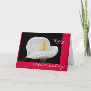 Valentinstag - Calla Lily und Tau Feiertagskarte