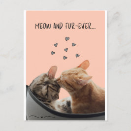 Valentinstag Card, Meow und Pelever Postkarte