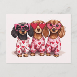 Valentinstag Dachshund Hunde Postkarte
