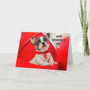 Valentinstag Französische Bulldogge Feiertagskarte