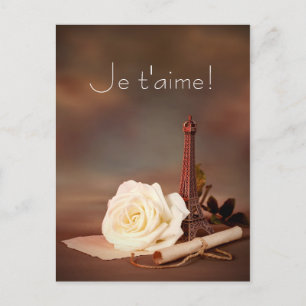 Valentinstag in Paris Feiertagspostkarte