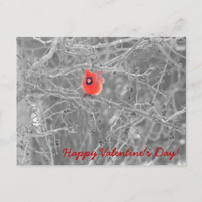 Valentinstag Kardinäle Postkarte (Vorderseite)