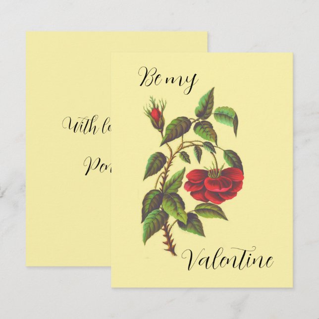 Valentinstag-Karte der Vintagen Rote Rose (Vorne/Hinten)