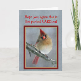 Valentinstag-Karte des Vogelbeobachters Feiertagskarte