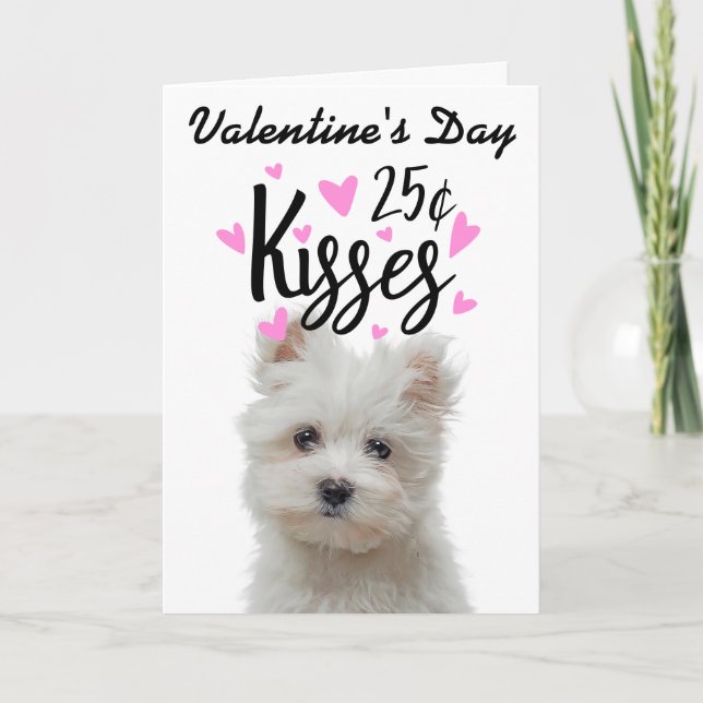 Valentinstag Karte küsse ...vom Hund (Vorderseite)