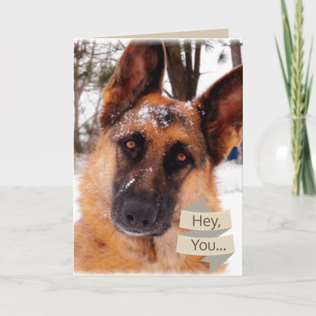 Valentinstag-Karte mit Schäferhund Feiertagskarte (Vorderseite)