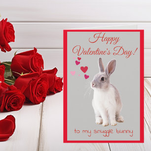 Valentinstag-Karte zu meinem Snugggle Bunny Feiertagskarte