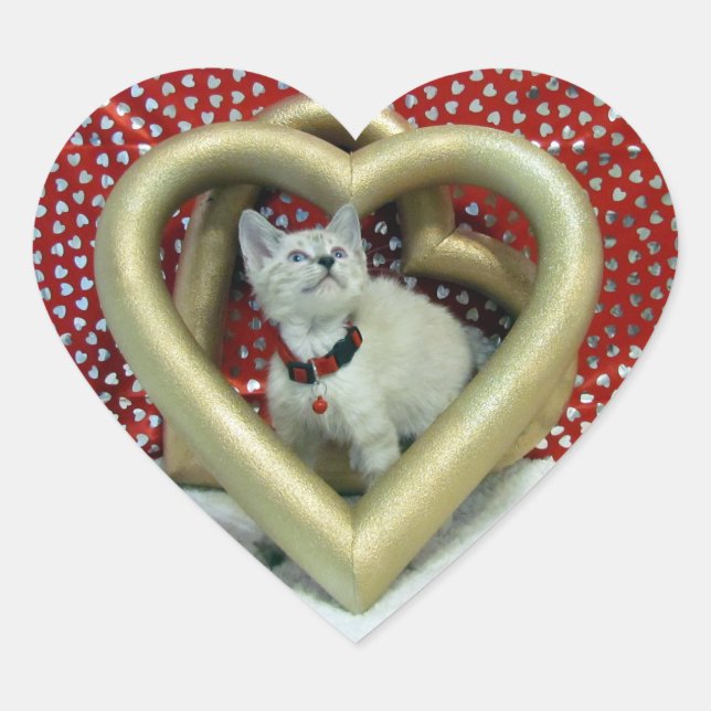 Valentinstag - Liebe Phoenix - Katze / Kitten Herz-Aufkleber (Vorderseite)