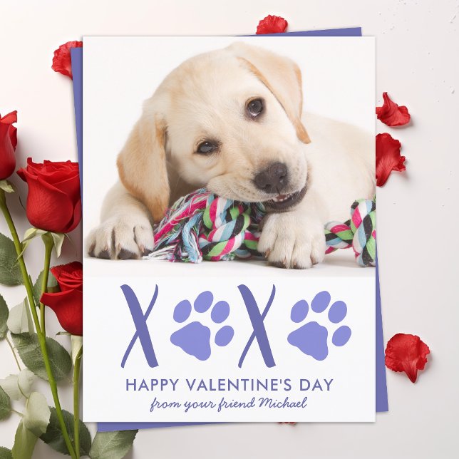 Valentinstag Niedlich Hunde Foto Ferienkarte Feiertagspostkarte (Von Creator hochgeladen)