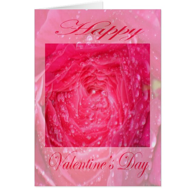 Valentinstag Rosa Rose mit Regenfällen (Vorne)