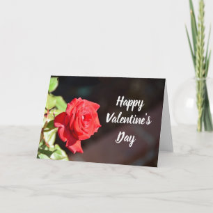 Valentinstag-Rosen-Feiertagskarte Feiertagskarte