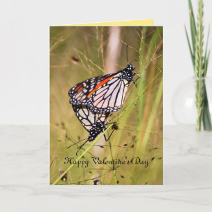 Valentinstag Schmetterlingsparadies Feiertagskarte