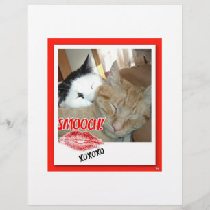 Valentinstag Tabby Katzen Flyer