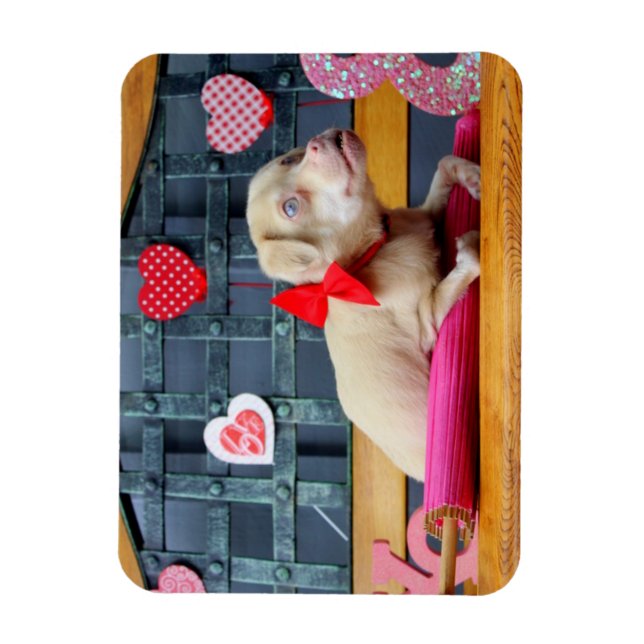 Valentinstag TuckerWearsGoggles Magnete (Vertikal)