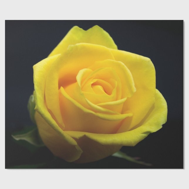 Valentinstag-Wrapping-Papier Geschenkpapier (Flach)