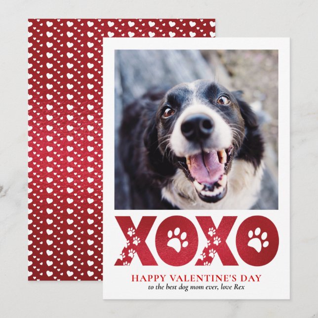 Valentinstag XOXO Pet Dog Foto Feiertagskarte (Vorne/Hinten)