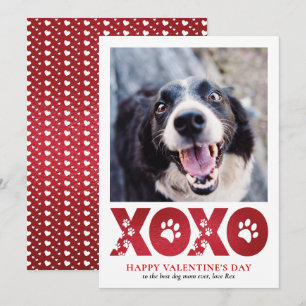 Valentinstag XOXO Pet Dog Foto Feiertagskarte
