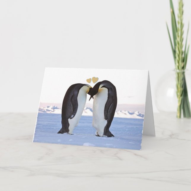 Valentinstag, zwei Pinguine - zwei Herzen Feiertagskarte (Vorderseite)