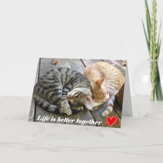 Valentinstagkarte mit Katzen - freier Raum Feiertagskarte (Vorderseite)