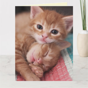 VALENTINSTAGS-GRUßKARTE MIT KATZE KARTE