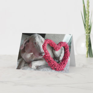 Valentinstagskarte für den Weimaraner-Hund Rain Karte