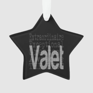 Valet Extraordinaire