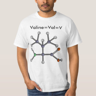 Valin (Aminosäure) T-Shirt