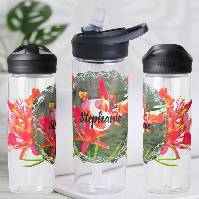 Vallarta Flaming Beauty 1583 Trinkflasche (Von Creator hochgeladen)