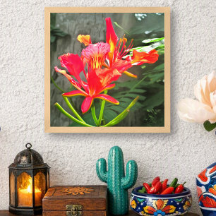 Vallarta Flaming Beauty Tropical Floral 1583 Kunst Poster