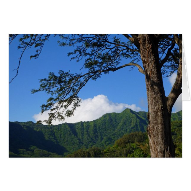 Vallée de Manoa (Devant horizontal)