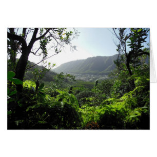 Vallée de Manoa, Hawaï