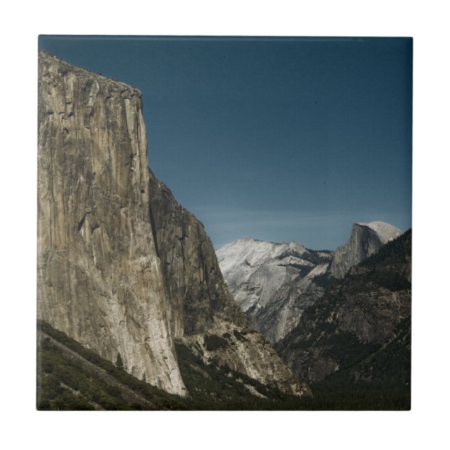 Valley Guardians Tile Fliese (Vorderseite)