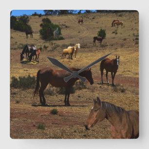 Valley Of The Horses, Quadratische Wanduhr