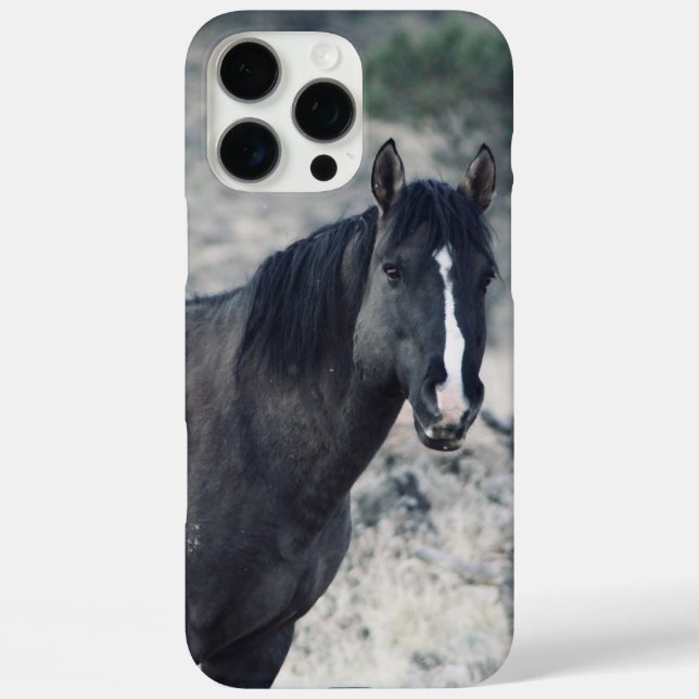 Valor iPhone 16 Pro Max Hülle (Rückseite)