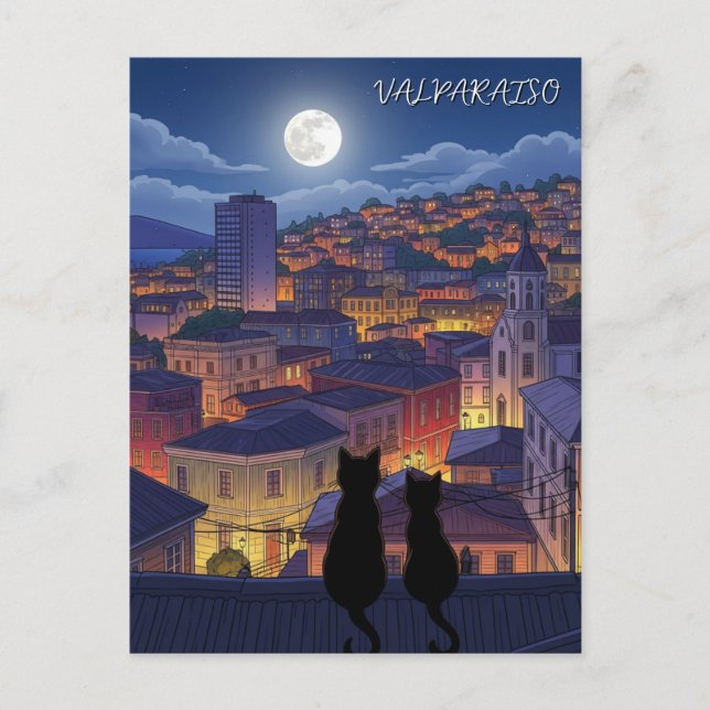 Valparaiso Chile Katzen in der Nacht Postkarte (Vorderseite)