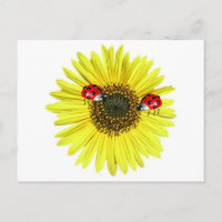 Valxart Happy Lady Bugs auf gelber Sonnenblume