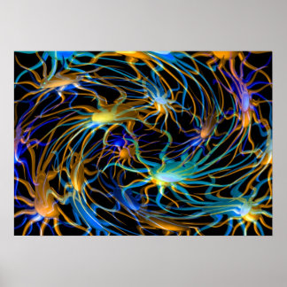 Valxart Spiralposter Poster