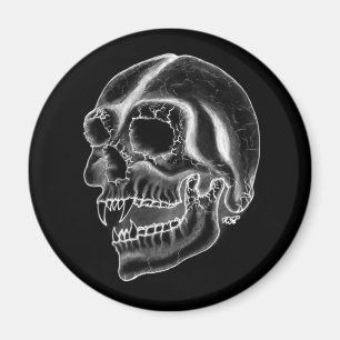 Vampir skull Schwarzweiß-Design Magnet