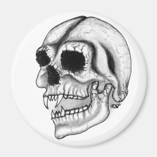 Vampir skull Schwarzweiß-Design Magnet