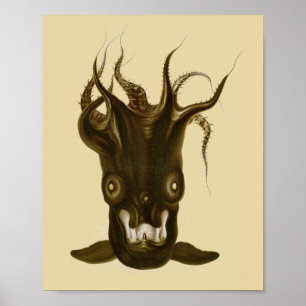 Vampir-Tintenfisch Schwarzmeer-Kreatur Kunstprint Poster